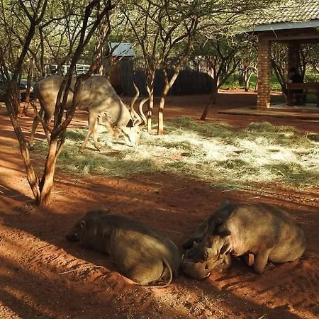 462 Bosbok Chalets Marloth Park Dış mekan fotoğraf