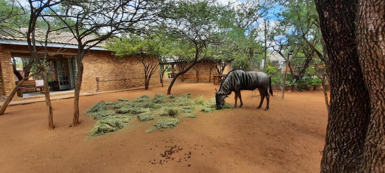 462 Bosbok Chalets Marloth Park Dış mekan fotoğraf