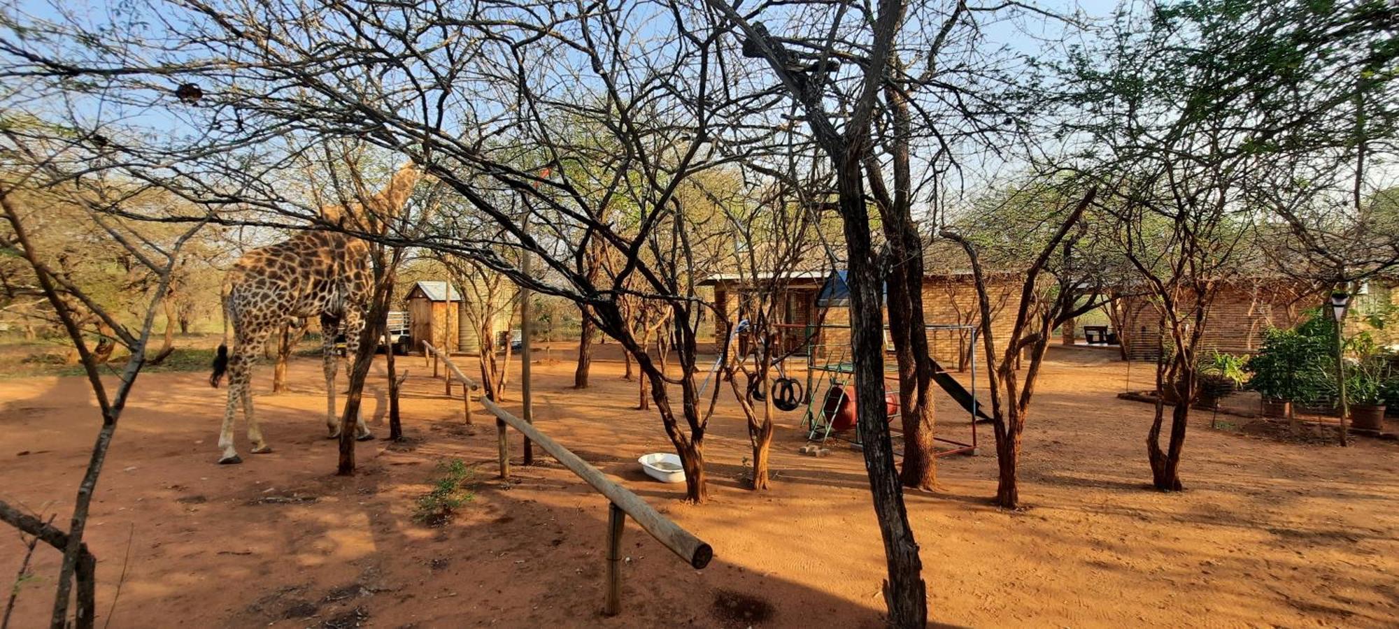 462 Bosbok Chalets Marloth Park Dış mekan fotoğraf